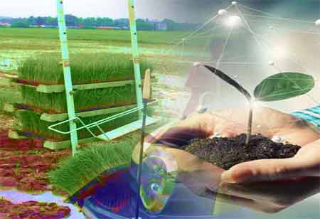 Five Trends Redefining the Landscape of Agribusiness